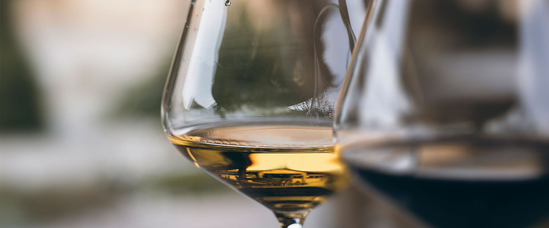 Chardonnay All Around The World Chardonnay All Around The World