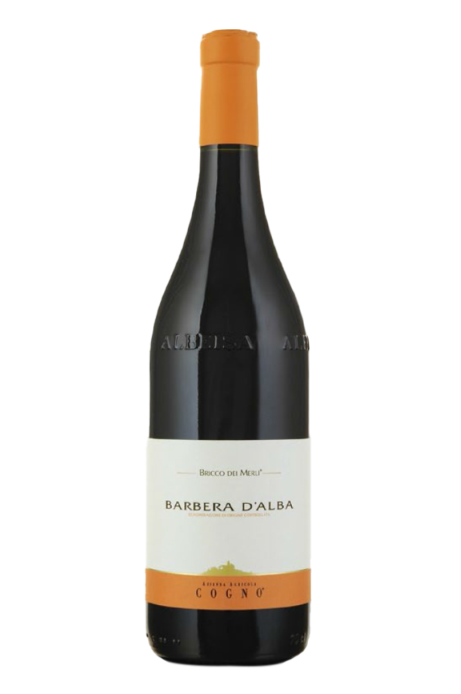 2022 Barbera d'Alba Bricco dei Merli