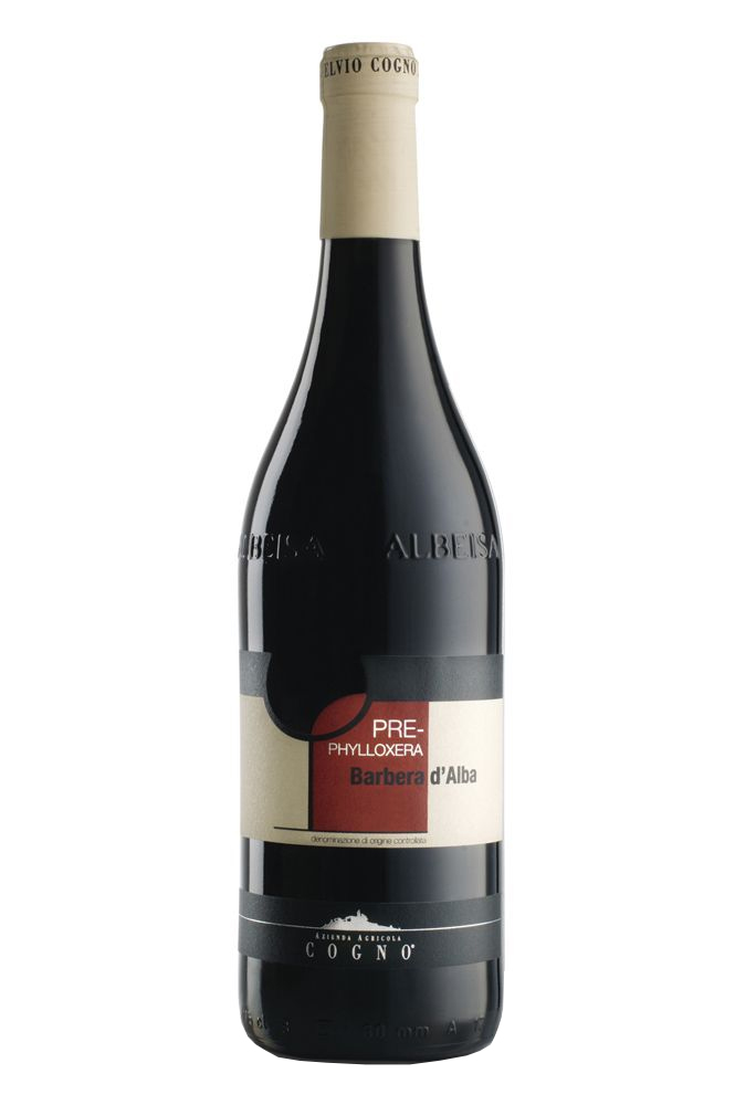 2019 Barbera d'Alba Pre-Phylloxera 2019 Barbera d'Alba Pre-Phylloxera
