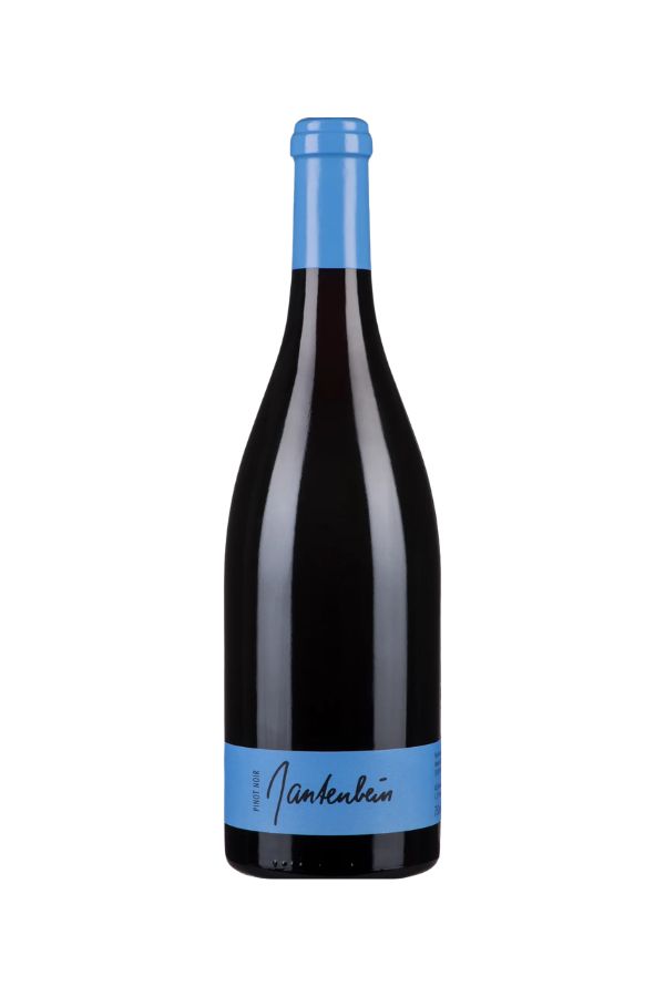 2022 Pinot Noir