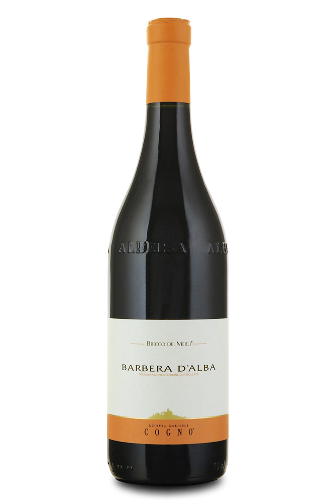 2018 Barbera d'Alba Bricco dei Merli