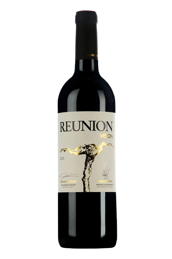 2015 Reunion Vision 2015 Reunion Vision