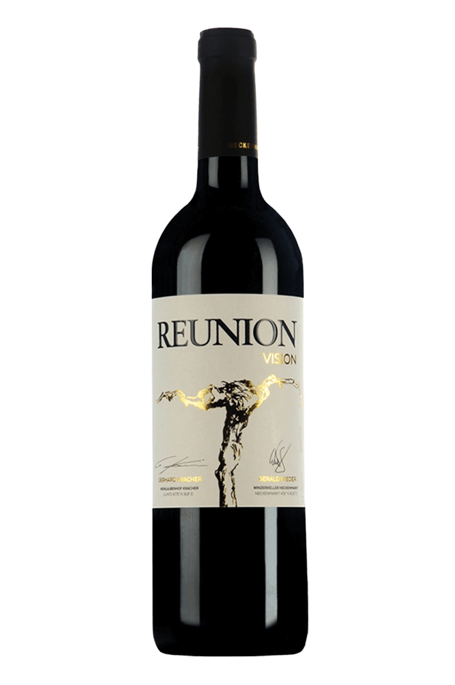 2017 Reunion Vision 2017 Reunion Vision