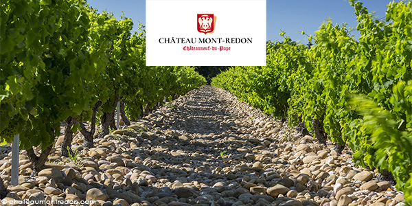 Header Chateau Mont Redon Blick in die Weingärten von Chateau Mont Redon mit Logo