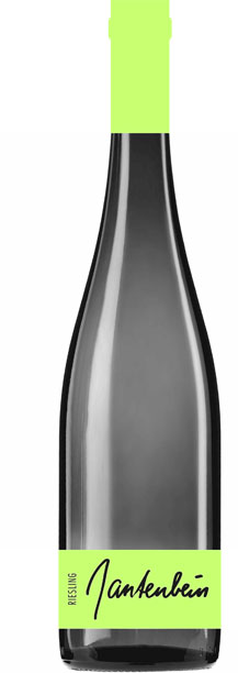2018 Riesling - limitiert verfügbar!