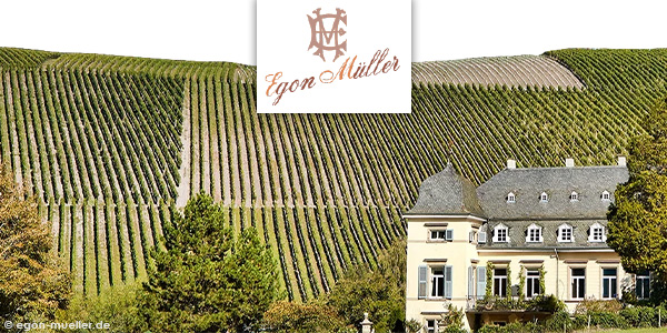 Header Egon Müller Egon Müller Gebäude in den Weingärten mit Logo