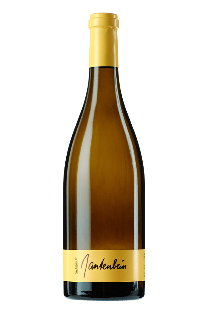 2023 Chardonnay