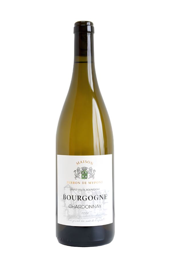 2023 Bourgogne Chardonnay
