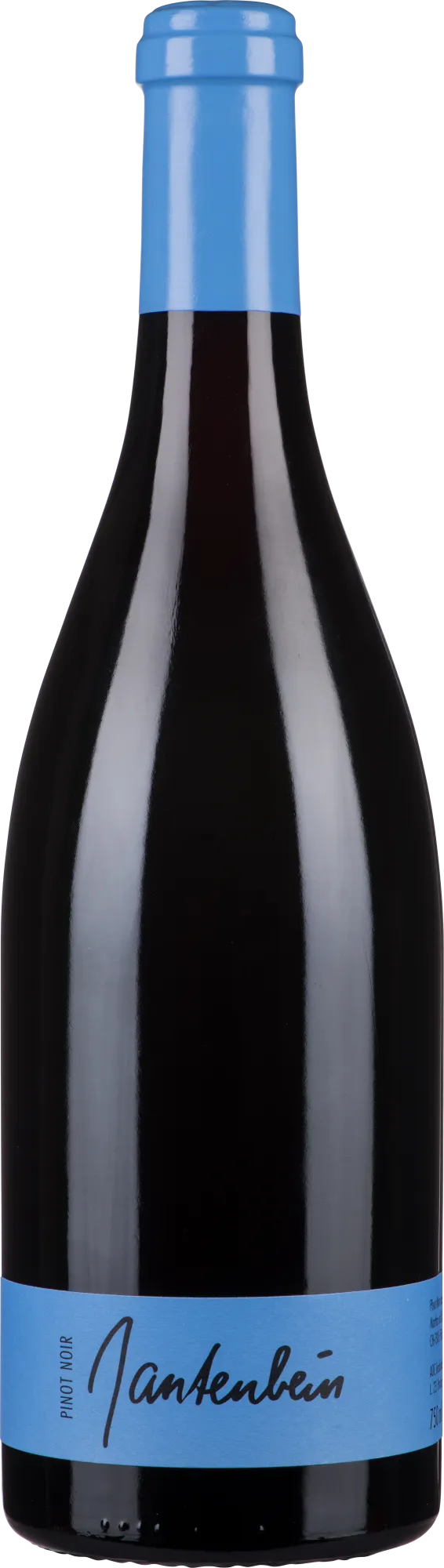 2024 Pinot Noir