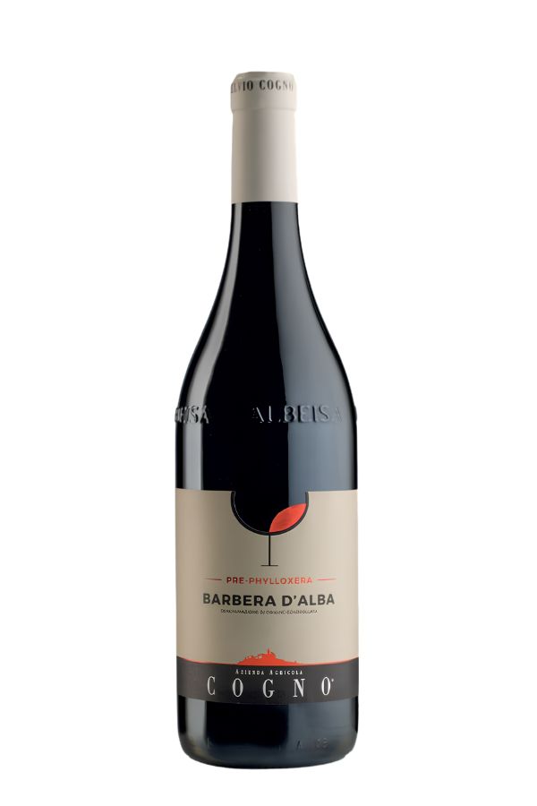 2022 Barbera d'Alba Pre-Phylloxera