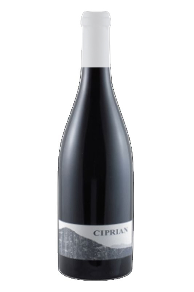 2022 Chardonnay Zizers AOC