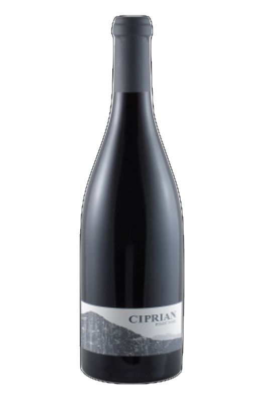 2023 Pinot Noir Zizers AOC