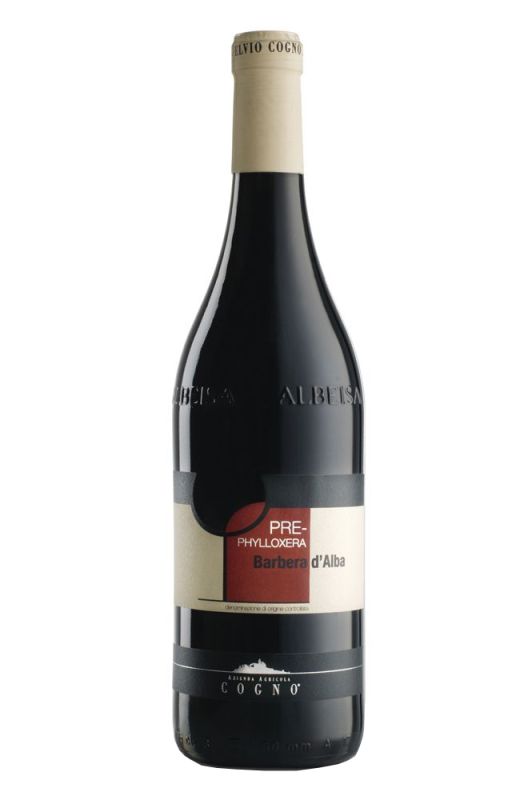 2021 Barbera d'Alba Pre-Phylloxera 2021 Barbera d'Alba Pre-Phylloxera